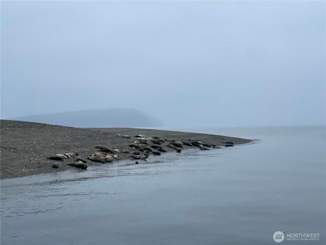54 Saratoga Drive Hat Island WA 98206