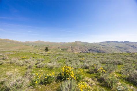 0 Goat Ridge Lot 7 - Highway 153 Pateros WA 98846