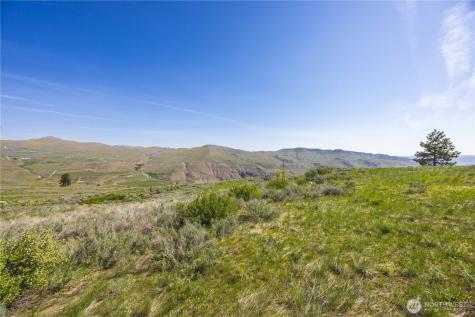 0 Goat Ridge Lot 7 - Highway 153 Pateros WA 98846