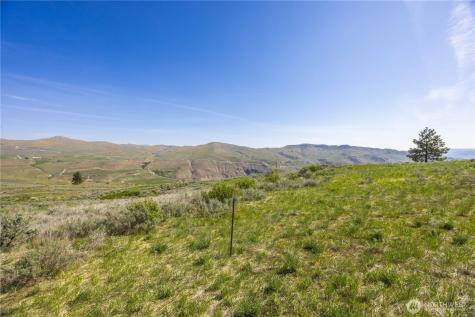 0 Goat Ridge Lot 7 - Highway 153 Pateros WA 98846