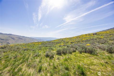 0 Goat Ridge Lot 7 - Highway 153 Pateros WA 98846