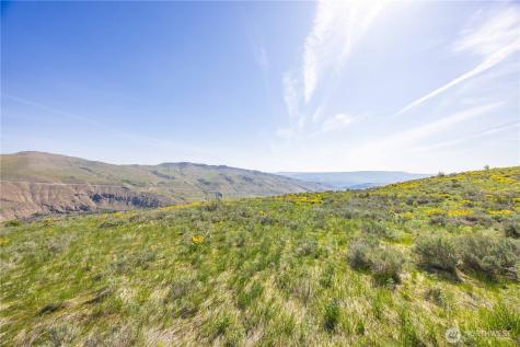0 Goat Ridge Lot 7 - Highway 153 Pateros WA 98846
