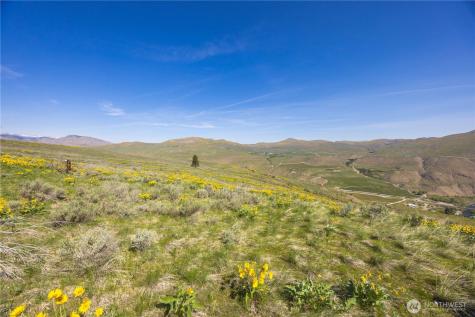 0 Goat Ridge Lot 7 - Highway 153 Pateros WA 98846