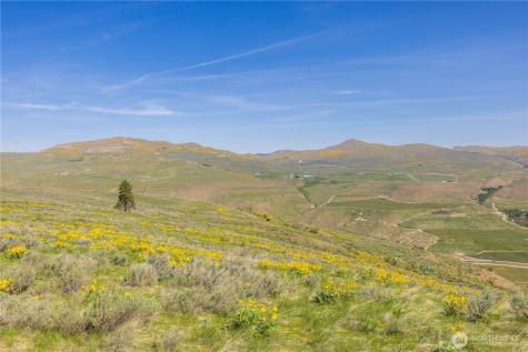 0 Goat Ridge Lot 7 - Highway 153 Pateros WA 98846