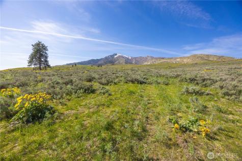 0 Goat Ridge Lot 7 - Highway 153 Pateros WA 98846