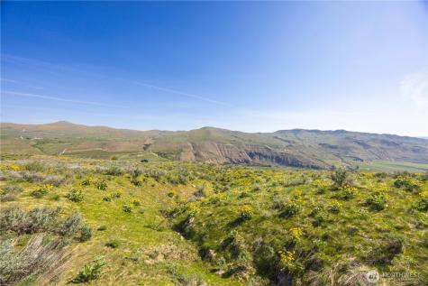 0 Goat Ridge Lot 7 - Highway 153 Pateros WA 98846