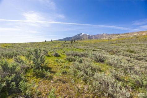 0 Goat Ridge Lot 7 - Highway 153 Pateros WA 98846