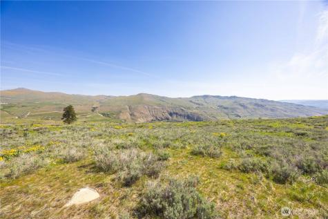 0 Goat Ridge Lot 7 - Highway 153 Pateros WA 98846