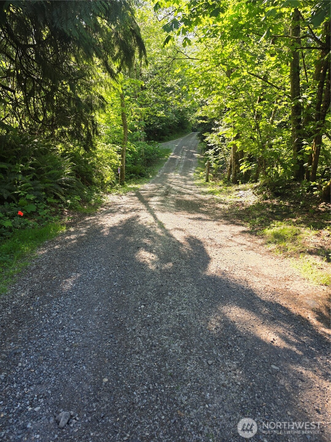 2825 W 88th Vista Custer WA 98240