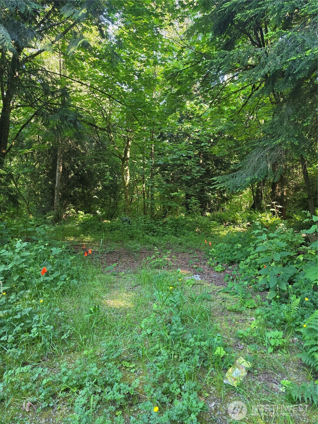 2825 W 88th Vista Custer WA 98240
