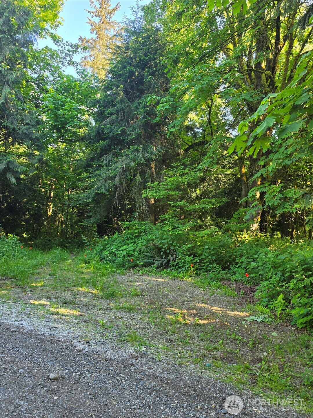 2825 W 88th Vista Custer WA 98240