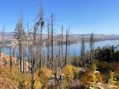 1 S. Lakeshore Road Chelan WA 98816