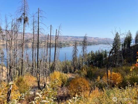 1 S. Lakeshore Road Chelan WA 98816