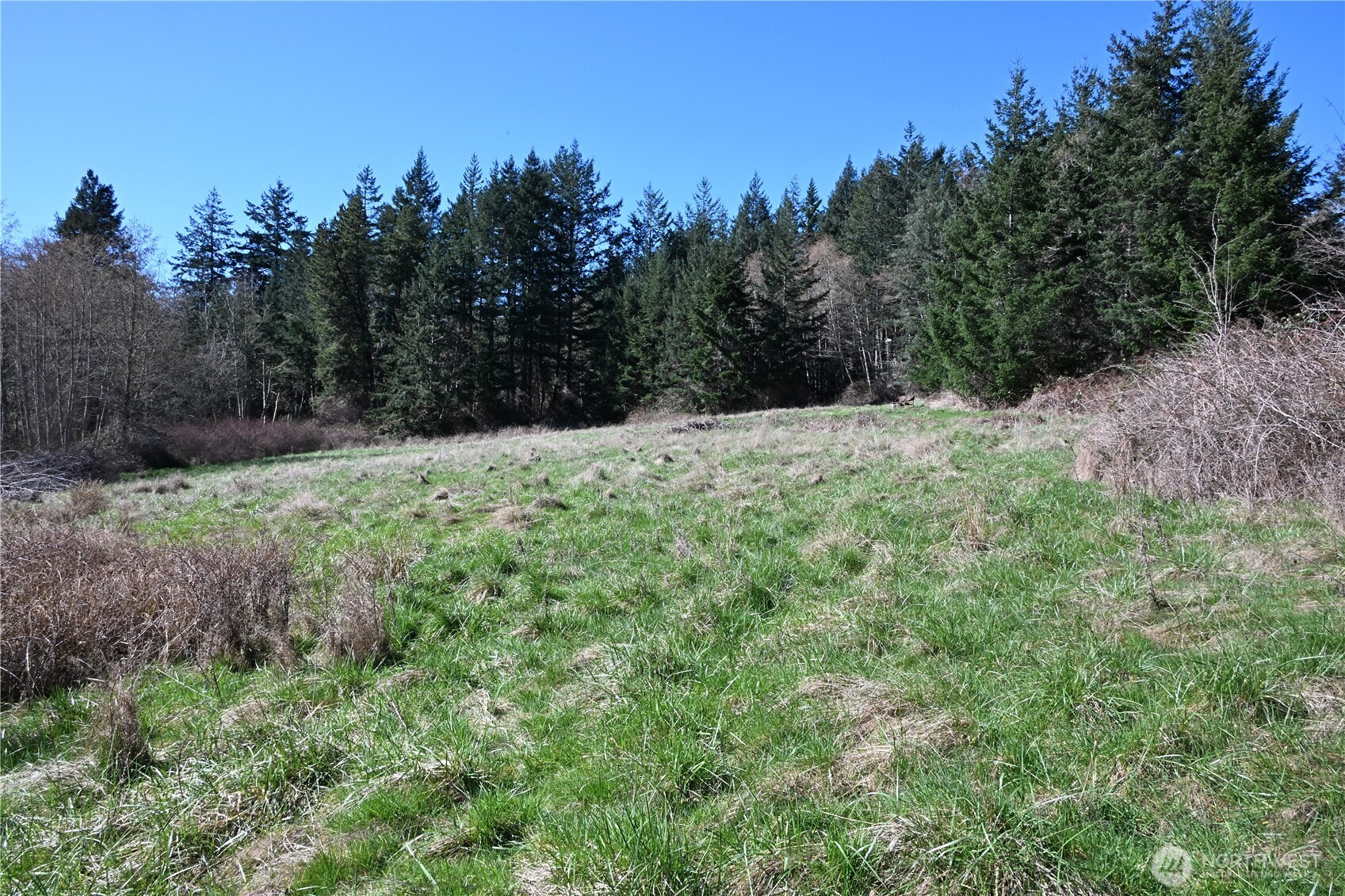1111 Sandwith Road Friday Harbor WA 98250