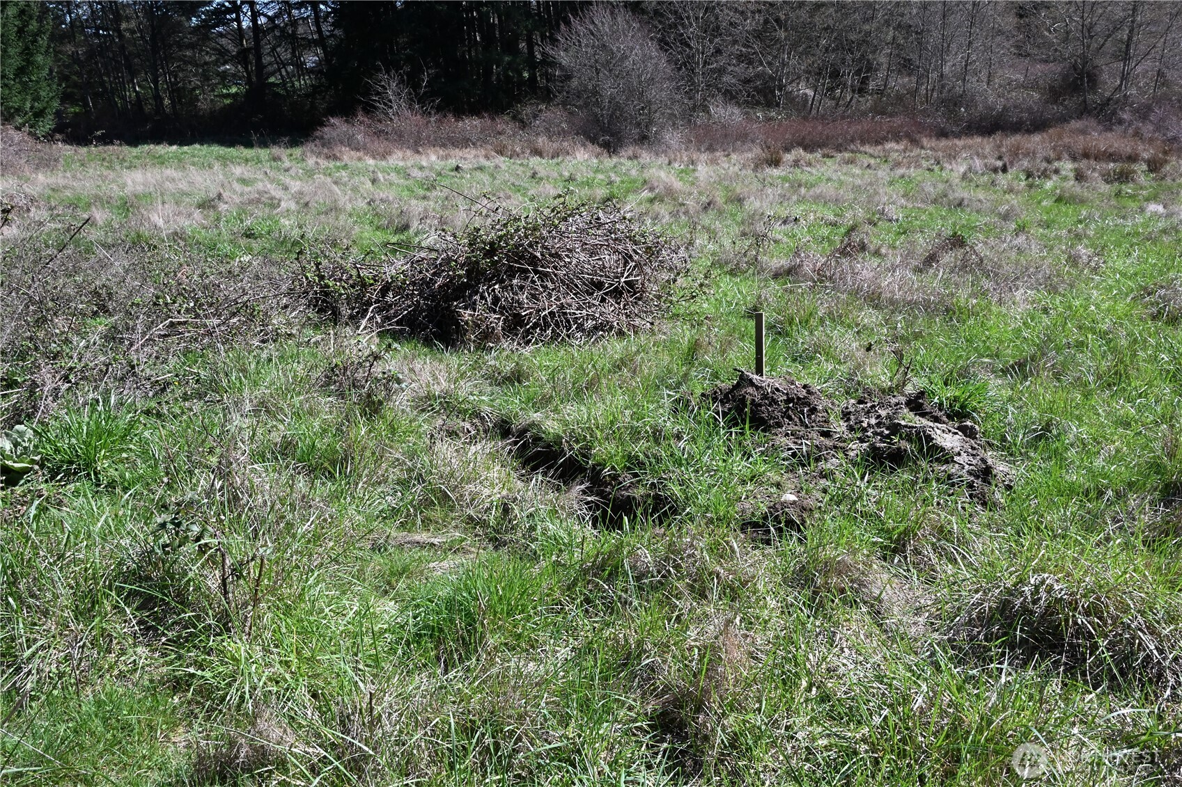 1111 Sandwith Road Friday Harbor WA 98250