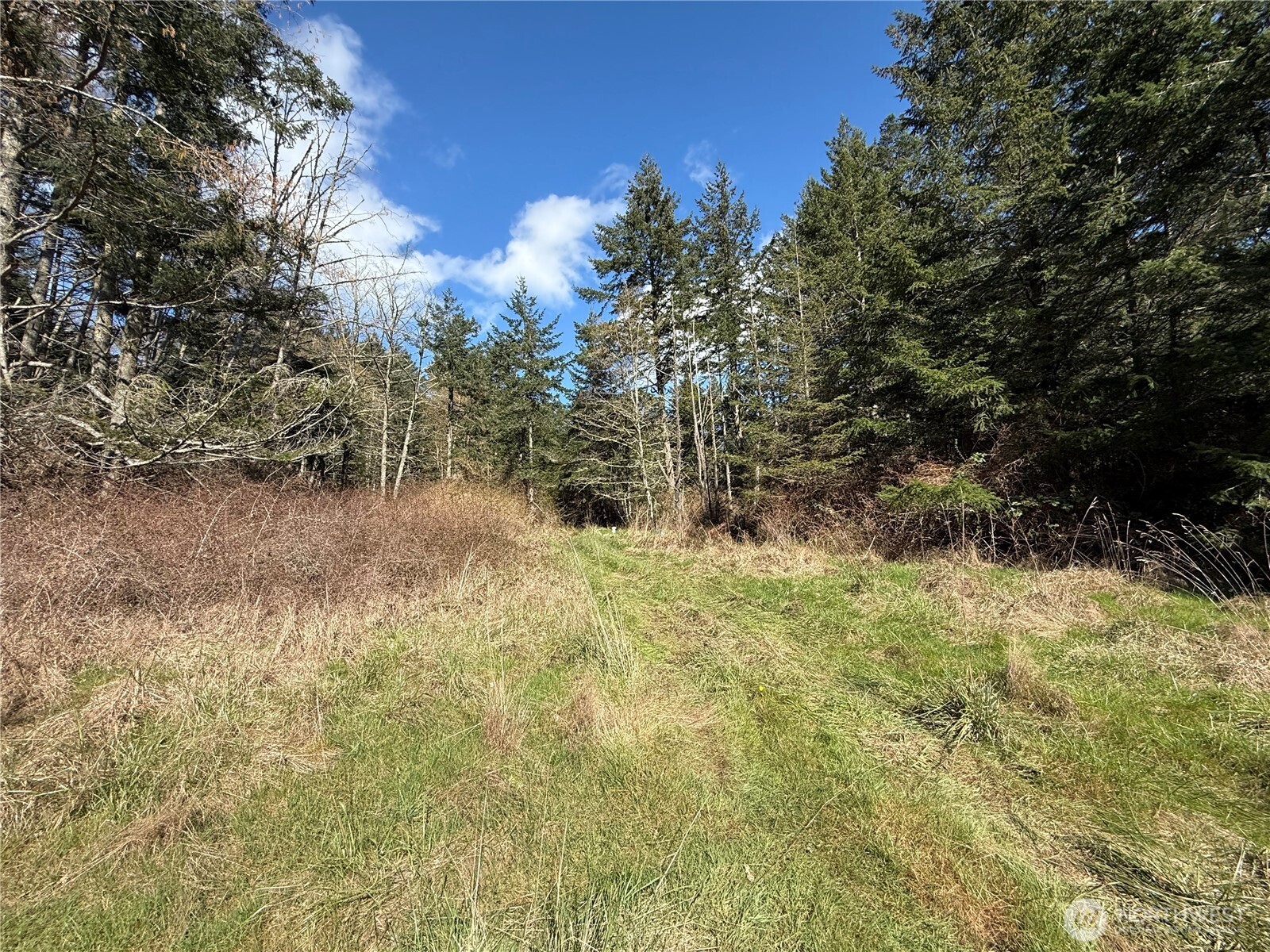 1111 Sandwith Road Friday Harbor WA 98250