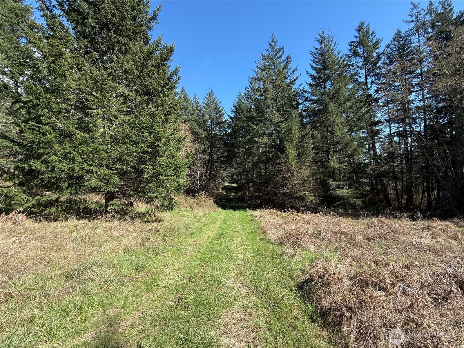 1111 Sandwith Road Friday Harbor WA 98250