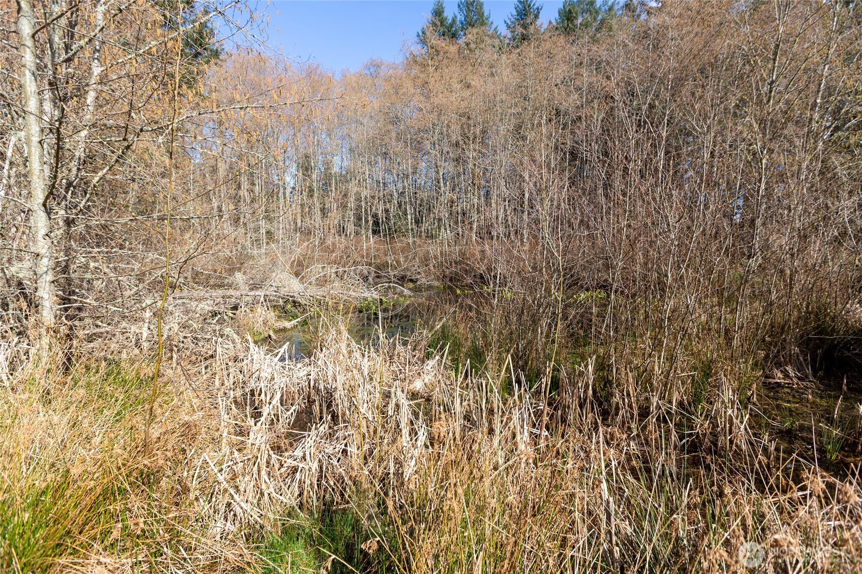 1111 Sandwith Road Friday Harbor WA 98250