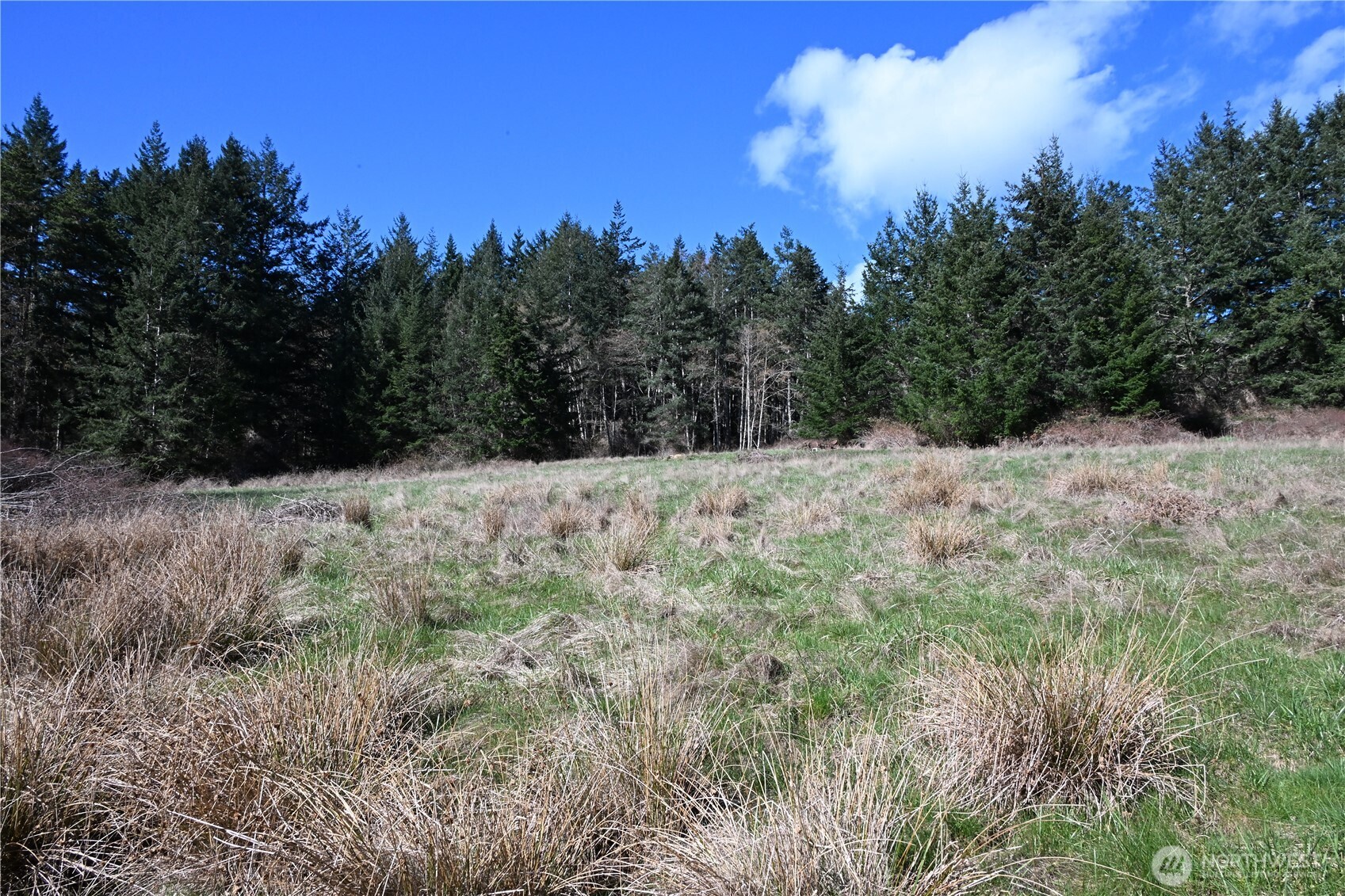 1111 Sandwith Road Friday Harbor WA 98250