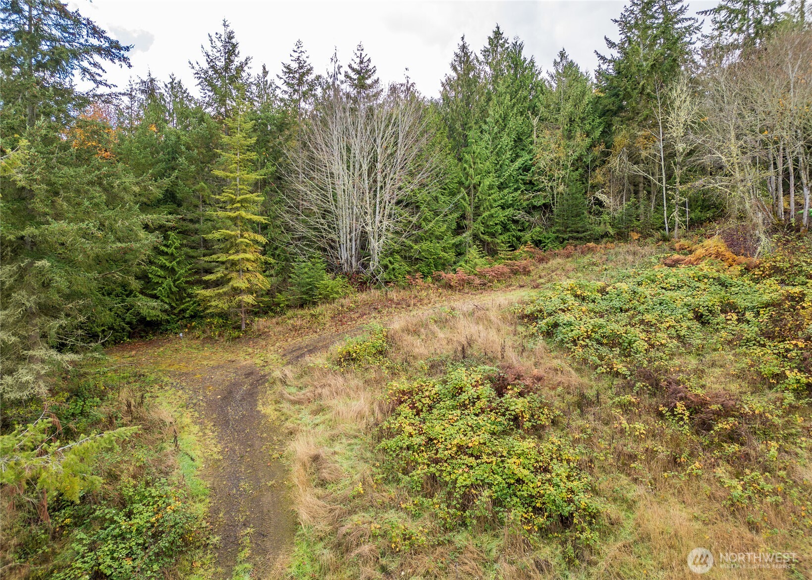 495 Louella Road Sequim WA 98382