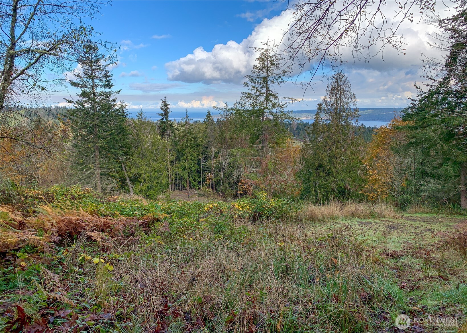 495 Louella Road Sequim WA 98382