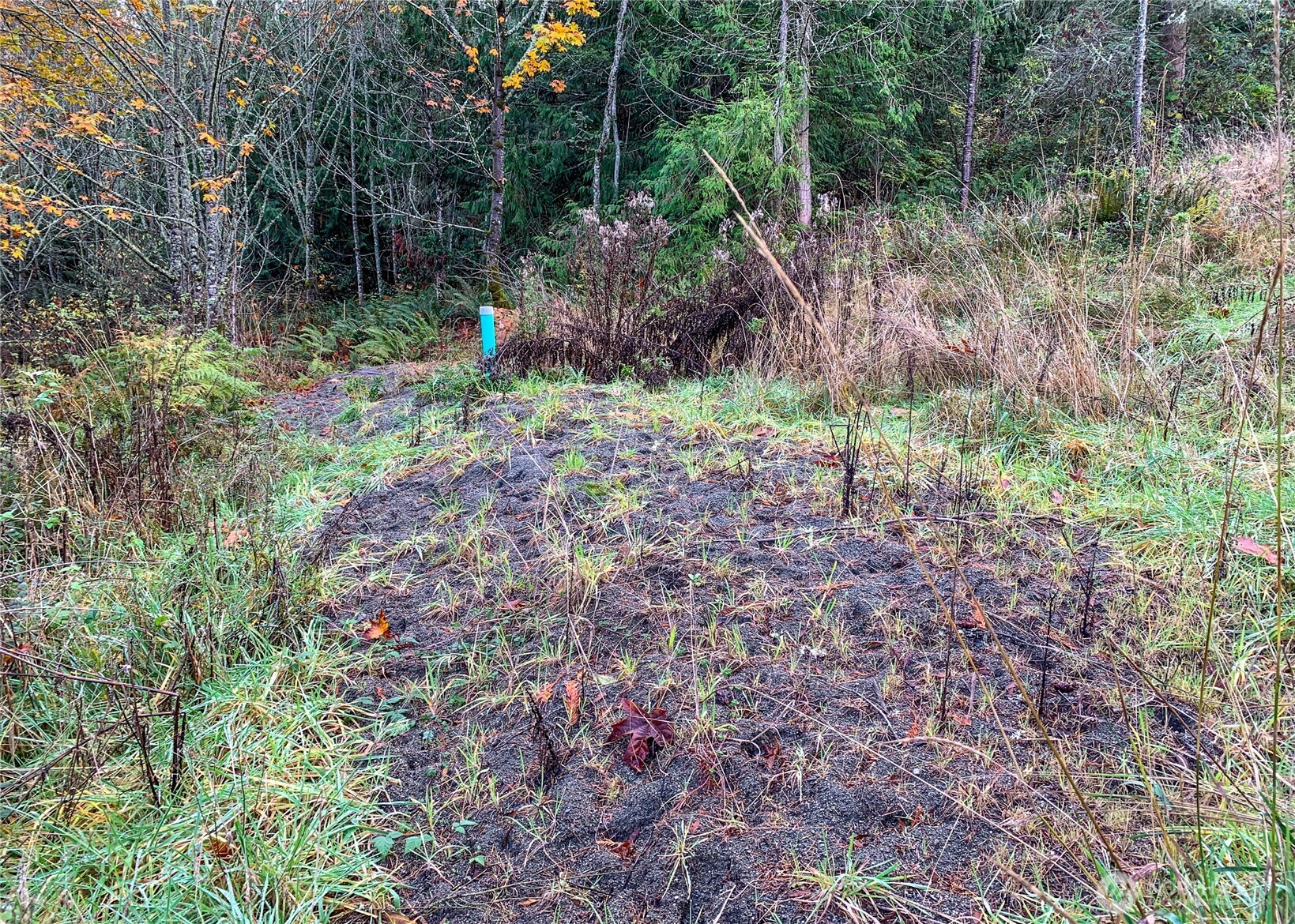 495 Louella Road Sequim WA 98382