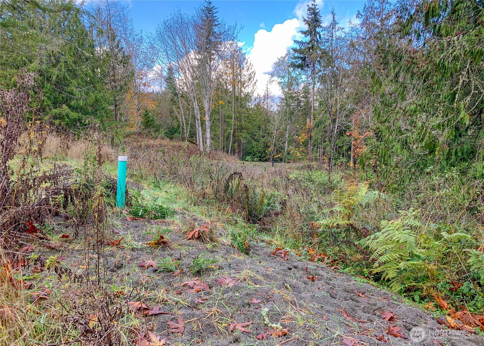 495 Louella Road Sequim WA 98382