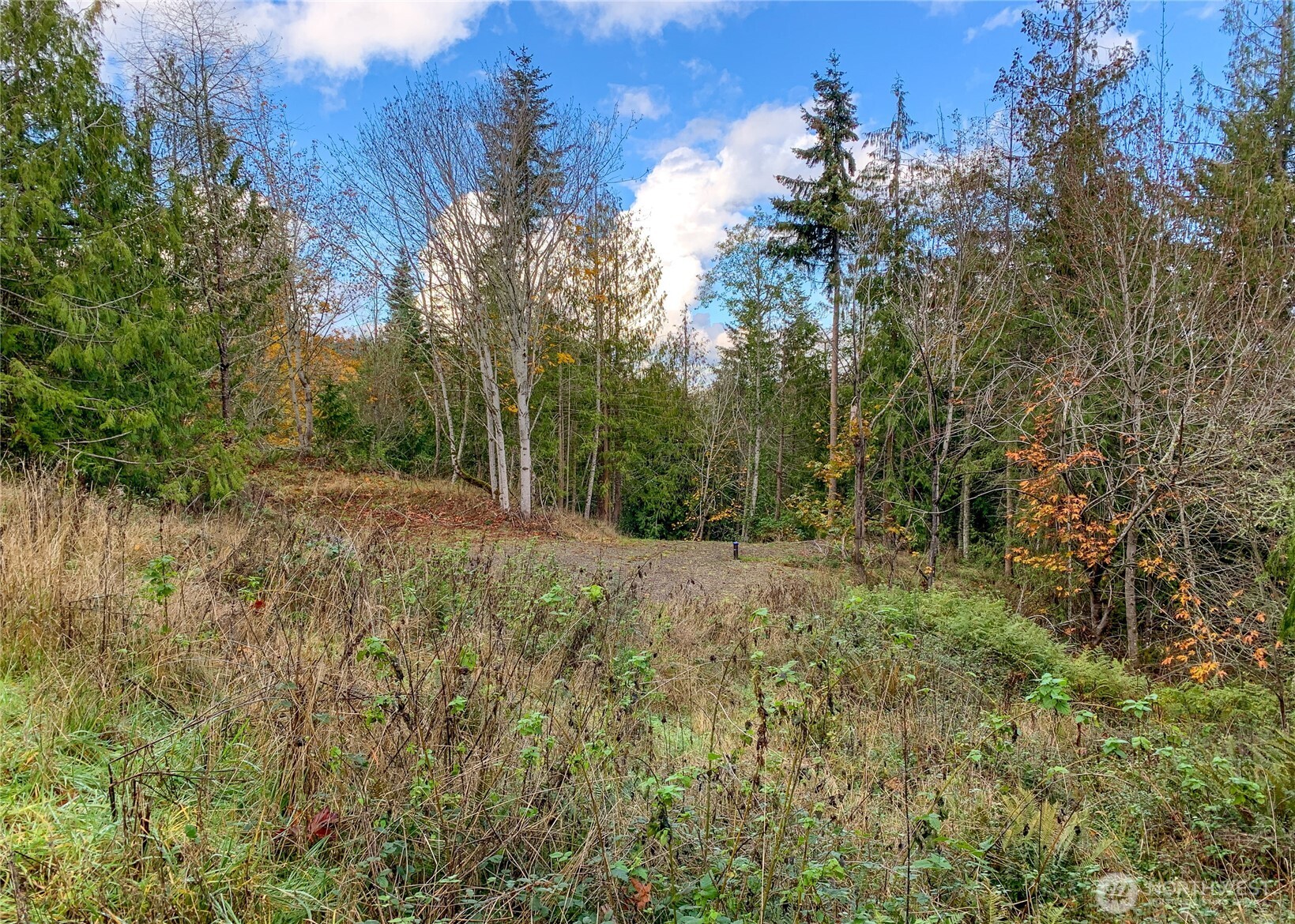 495 Louella Road Sequim WA 98382