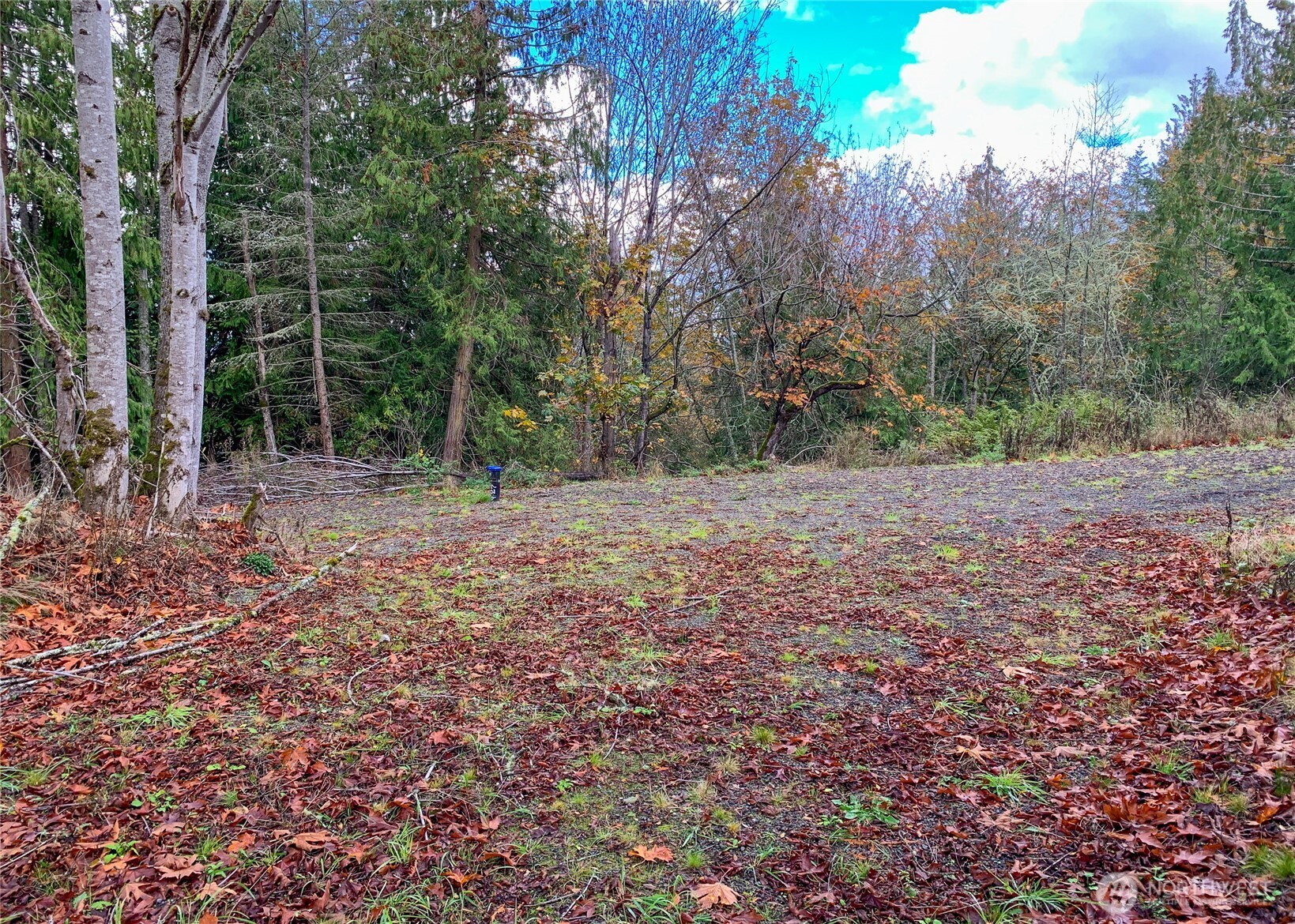 495 Louella Road Sequim WA 98382