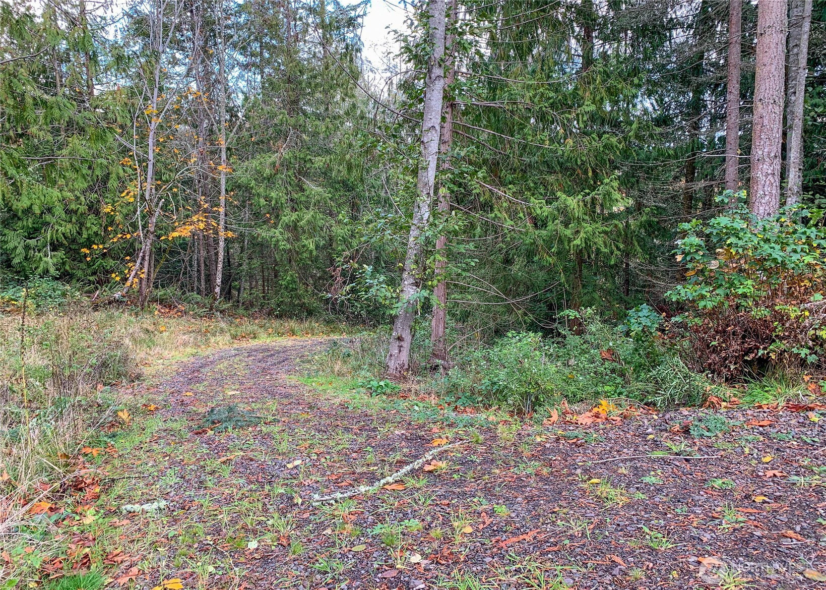 495 Louella Road Sequim WA 98382