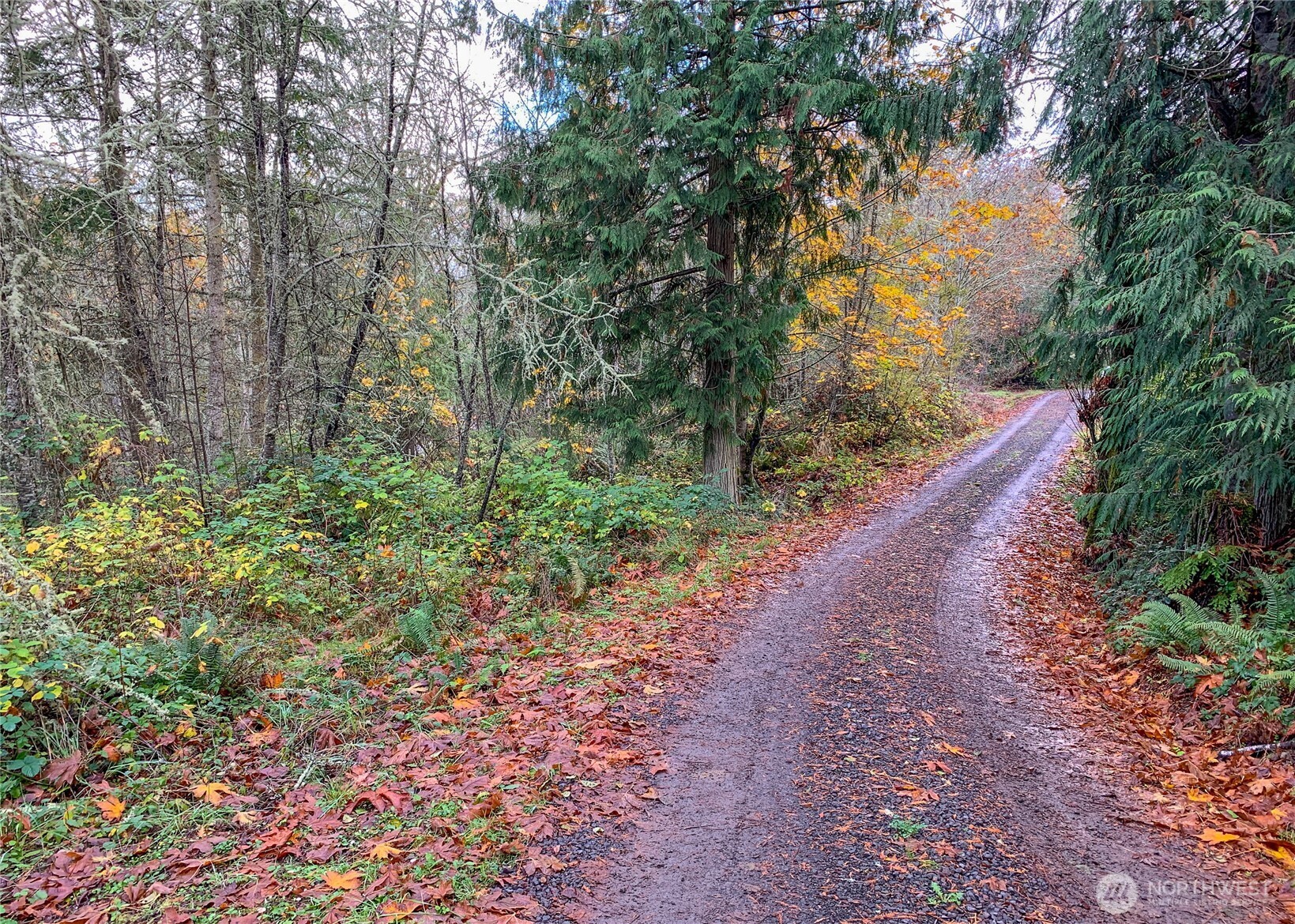 495 Louella Road Sequim WA 98382