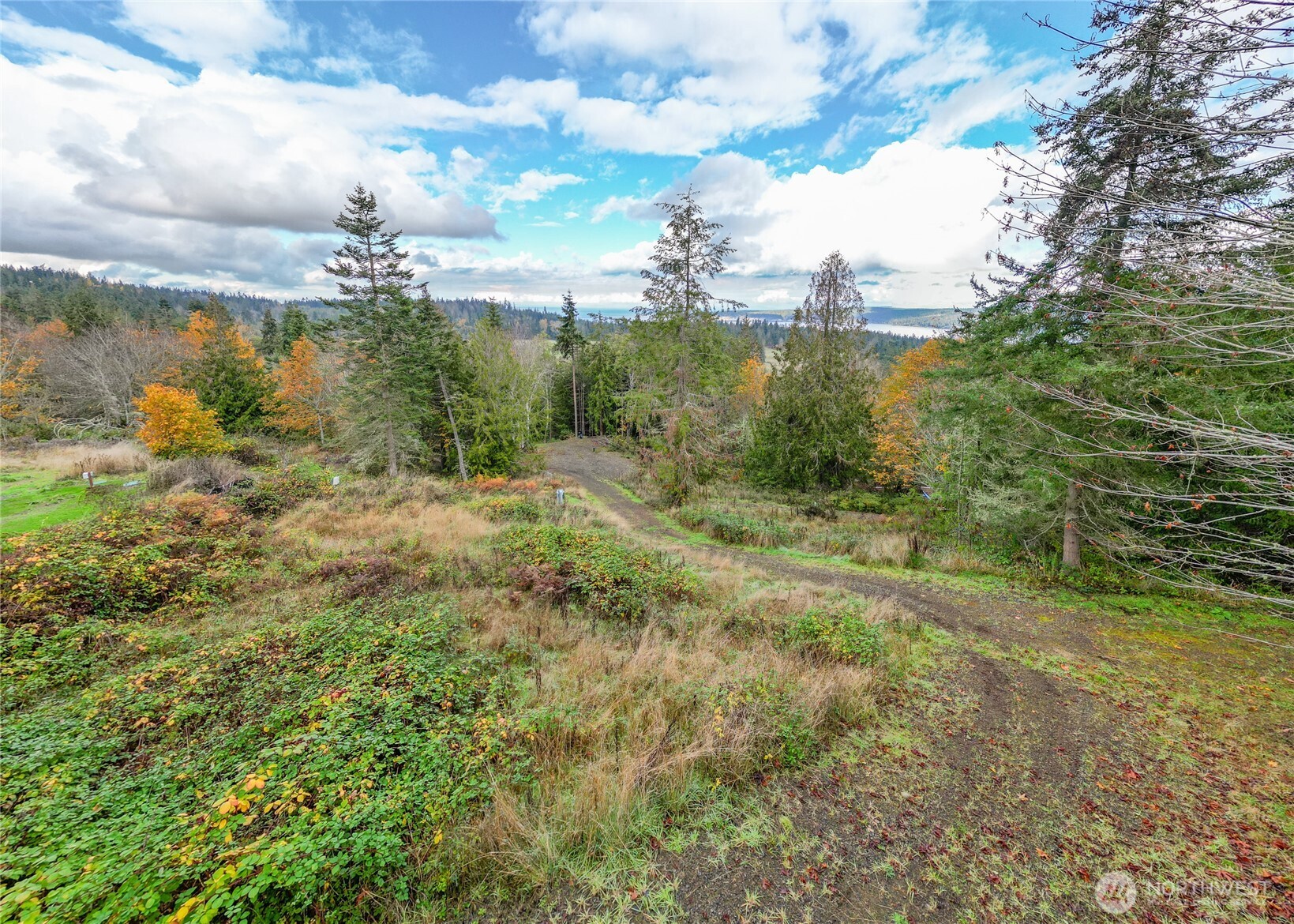 495 Louella Road Sequim WA 98382