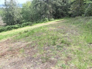 495 Louella Road Sequim WA 98382