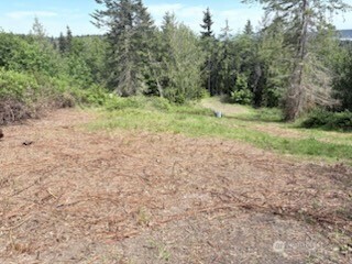 495 Louella Road Sequim WA 98382