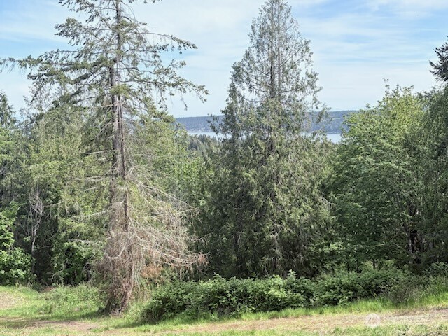 495 Louella Road Sequim WA 98382