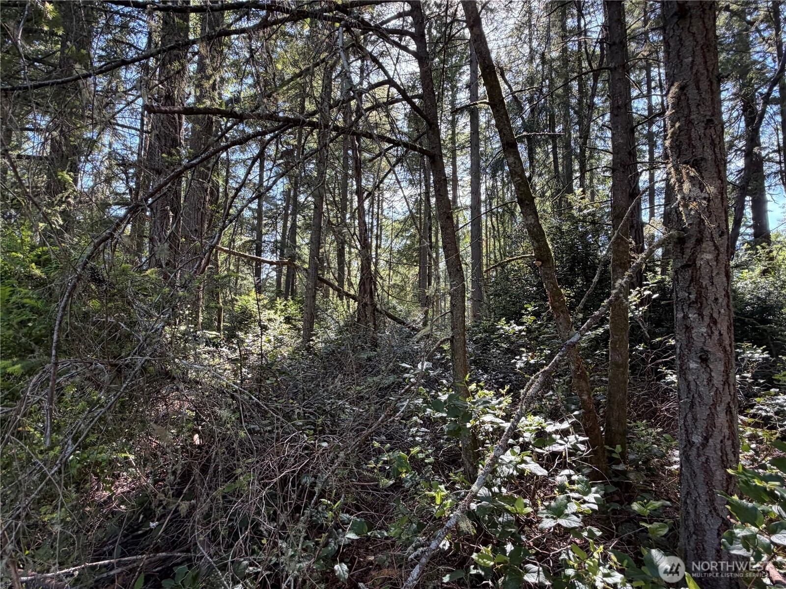 10506 Tahoma Drive Anderson Island WA 98303