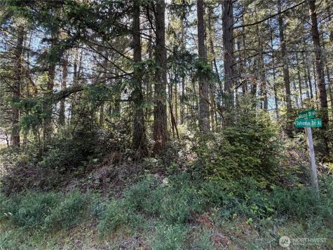 10506 Tahoma Drive Anderson Island WA 98303