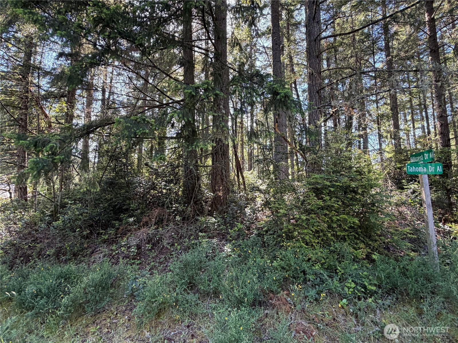 10506 Tahoma Drive Anderson Island WA 98303