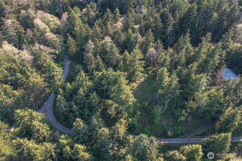 41 Raven Lane Orcas Island WA 98279