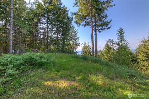 41 Raven Orcas Island WA 98279
