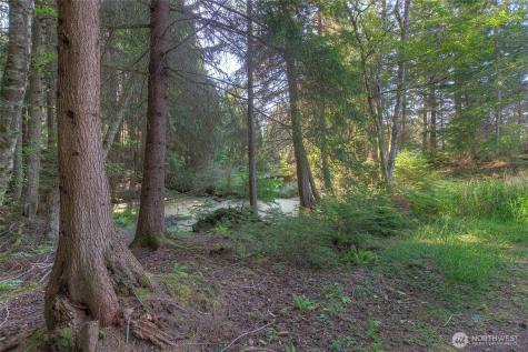 41 Raven Lane Orcas Island WA 98279