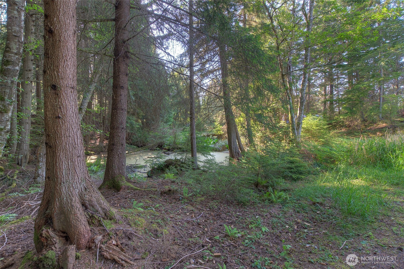 41 Raven Lane Orcas Island WA 98279