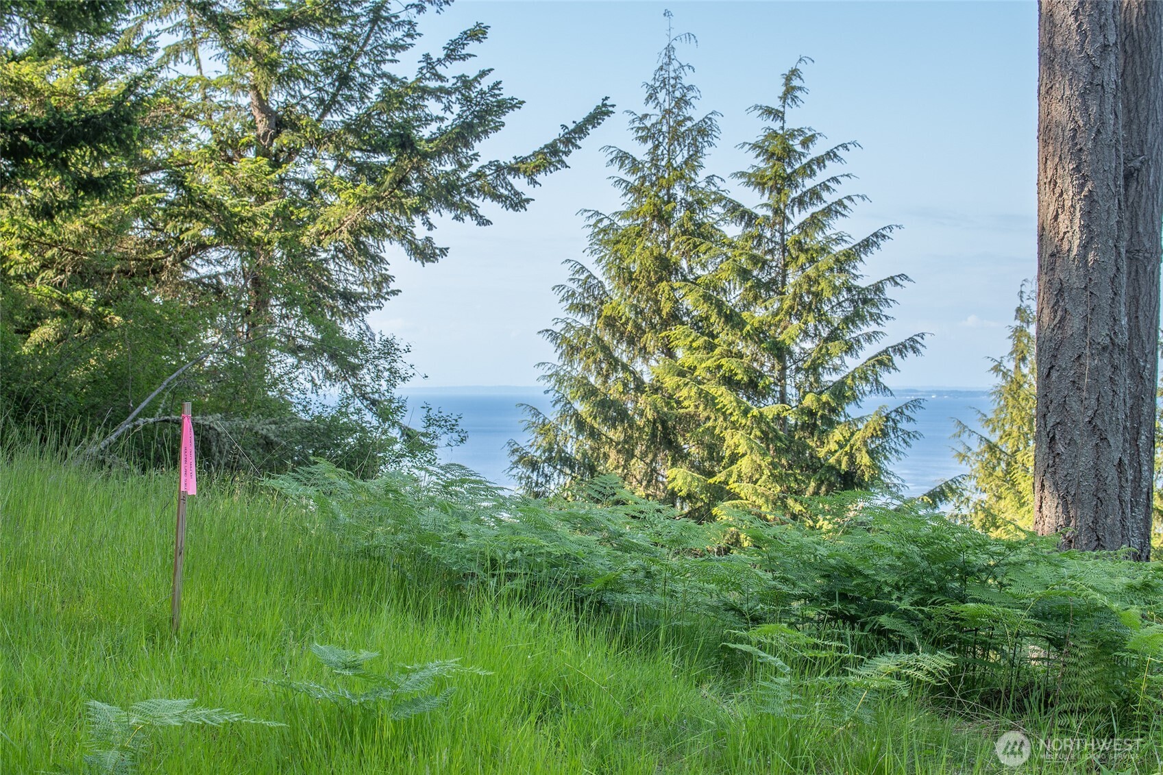 41 Raven Lane Orcas Island WA 98279