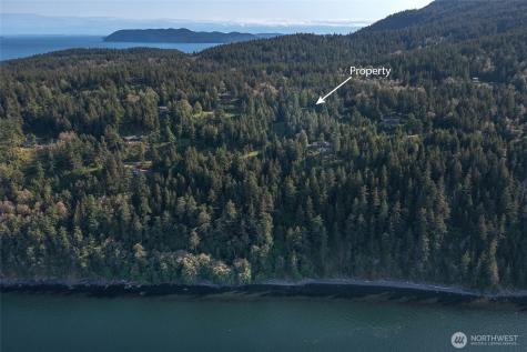 41 Raven Orcas Island WA 98279