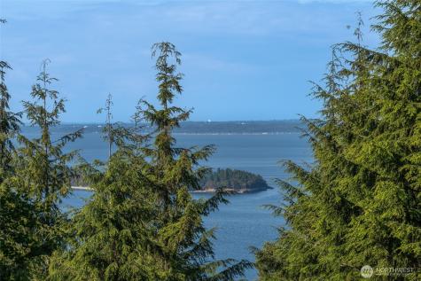 41 Raven Lane Orcas Island WA 98279