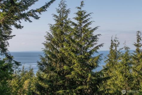 41 Raven Lane Orcas Island WA 98279