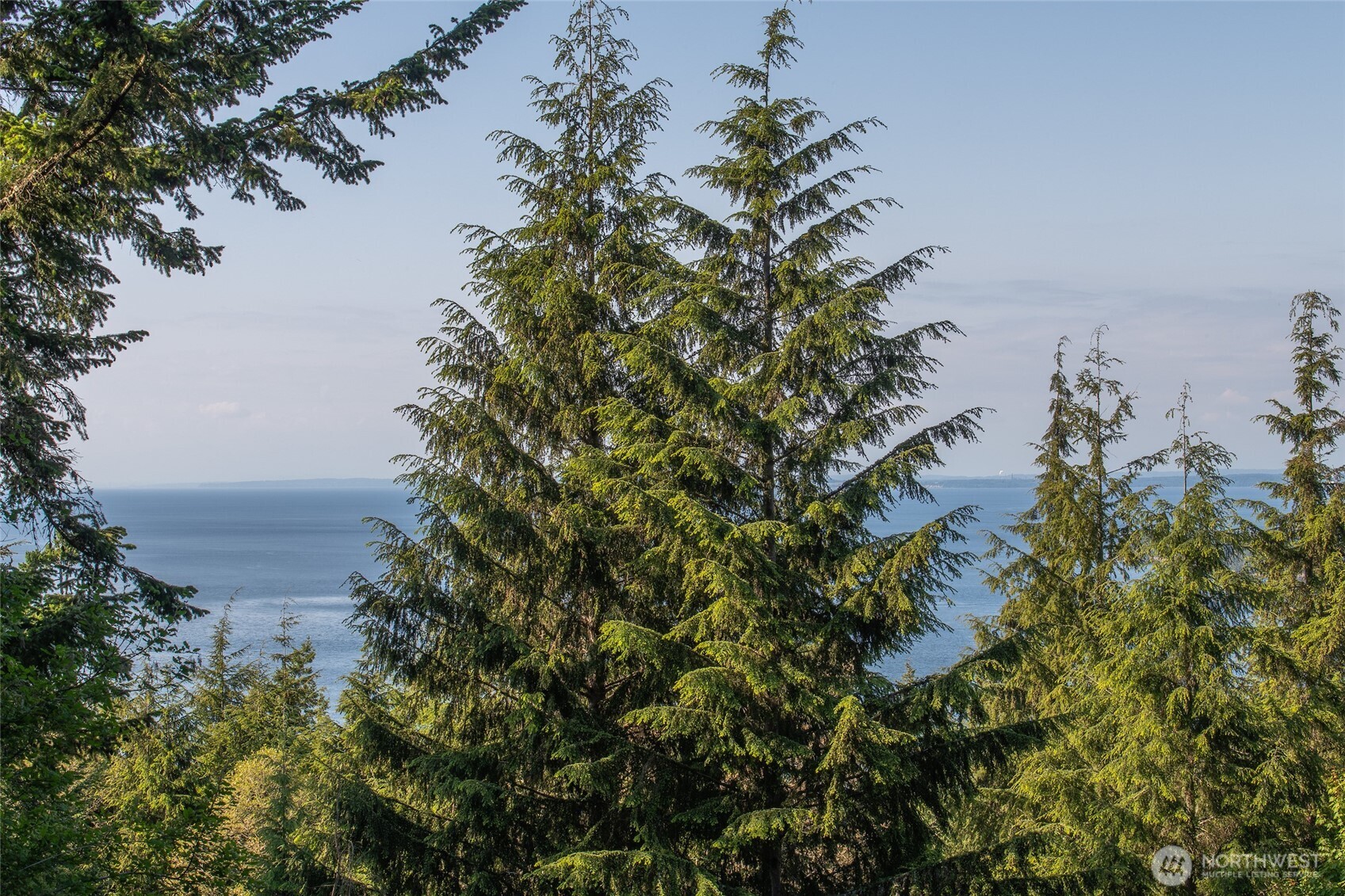 41 Raven Lane Orcas Island WA 98279