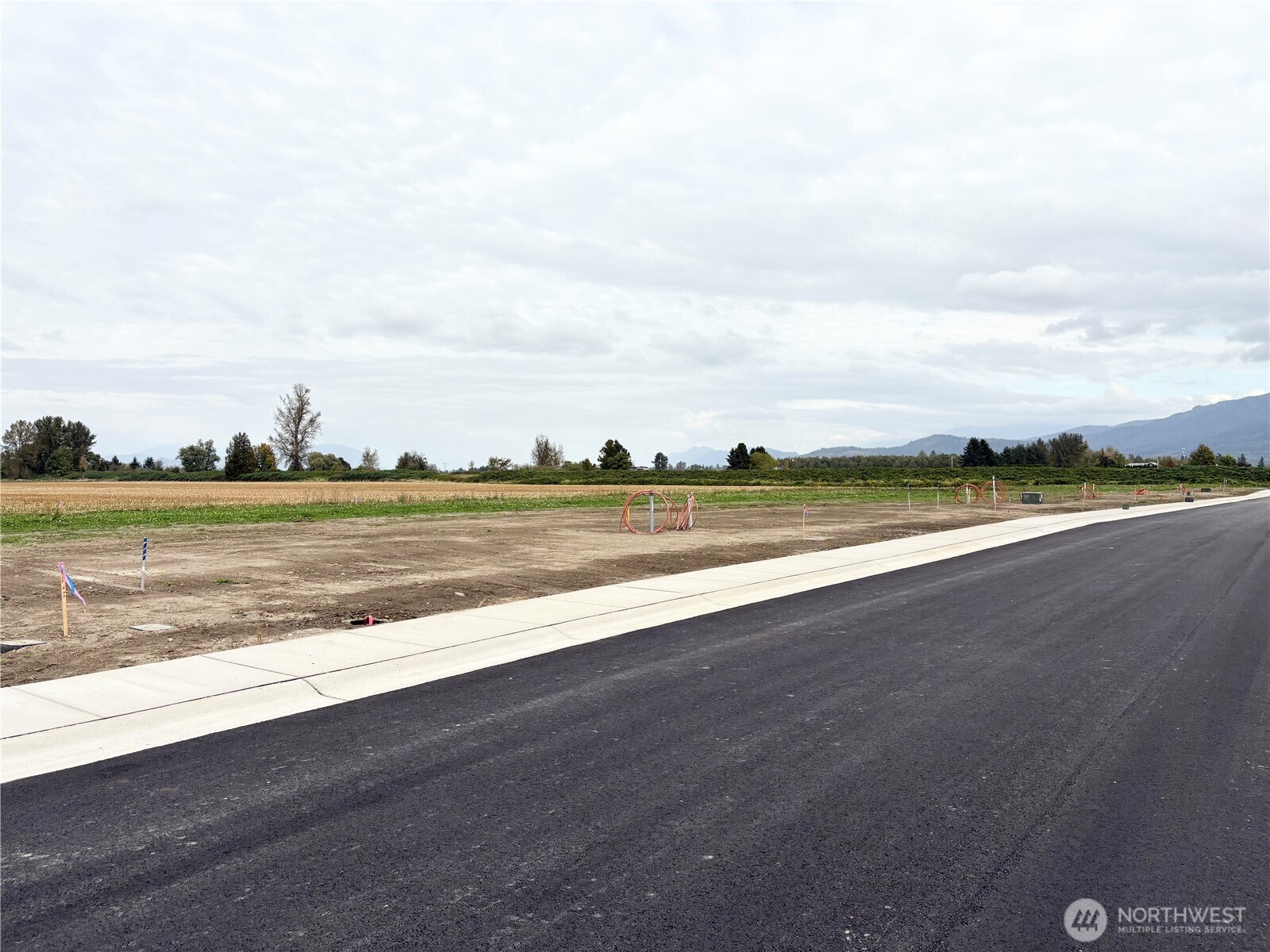 308 W 3rd Street Everson WA 98247
