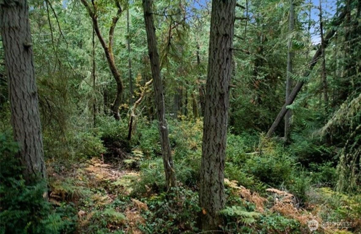 11106 Spruce Drive Anderson Island WA 98303