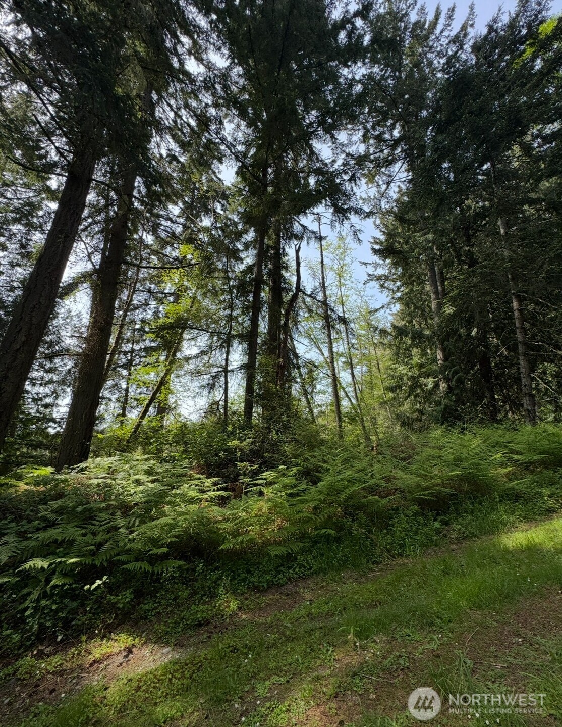 11106 Spruce Drive Anderson Island WA 98303